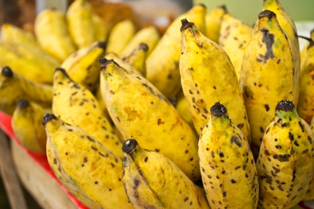 Banana の写真素材