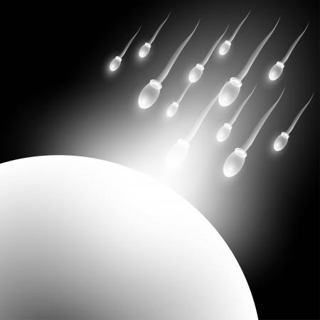 Sperm and ovaries background vector のイラスト素材