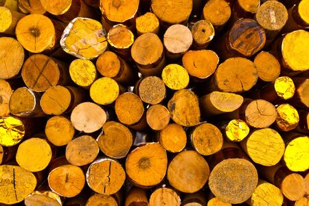 Timber for the backgroundの写真素材