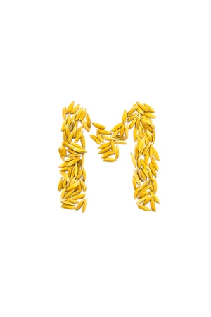 M letter of rice on a white background の写真素材