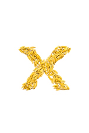X letter of rice on a white background の写真素材