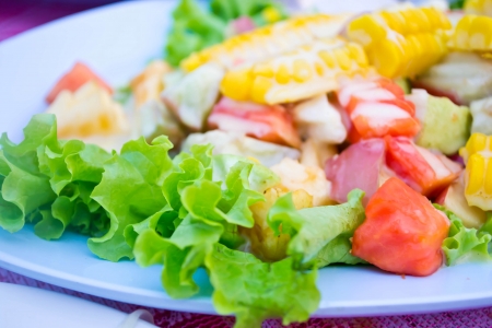 Fruit salad in the plateの写真素材