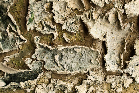 Dry soil texture backgroundの写真素材