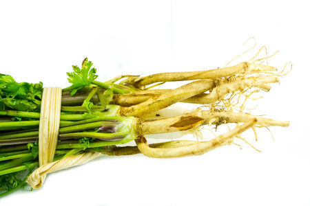 green parsley isolated over white background