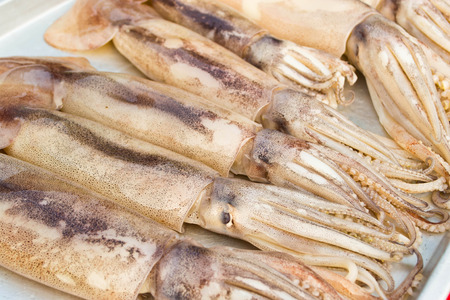 freshly squid put on the plate