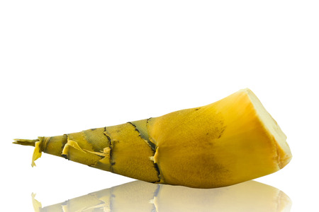 Bamboo shoot on white backgroundの写真素材