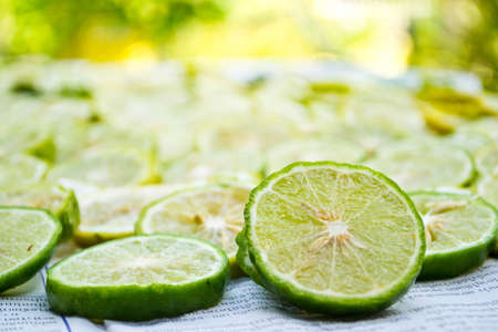 Close-up of fruit lemon slicesの写真素材