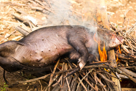 Burning a black dead boarの写真素材