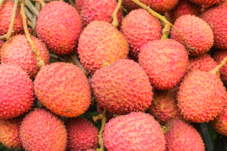 Fresh lychee fruit showing the red skinの写真素材