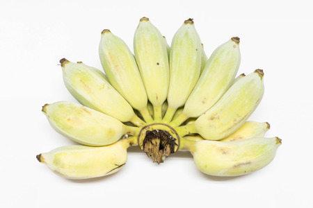 Raw bananas on white backgroundの写真素材