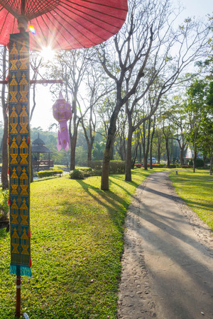 Nice garden in ChiangMai Thailandの写真素材