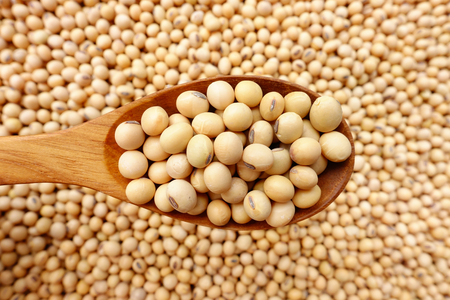 Soy beans with a wooden spoonの写真素材