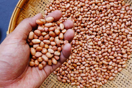 peanut beans in hand with bamboo texture background.の写真素材