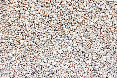 Millet grains for background