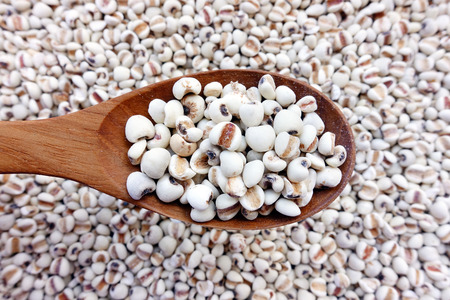 Millet grains on the wooden spoon of millet backgroundの写真素材