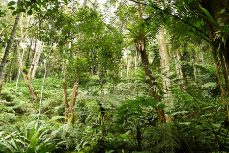 Details of the nature for background