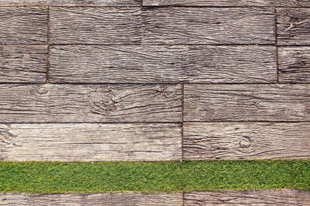 Details of the nature for backgroundの写真素材