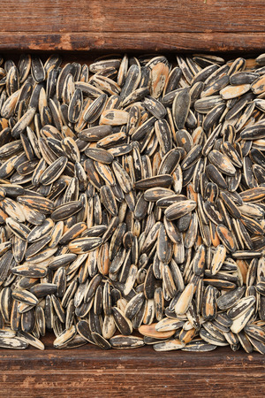 close up of sunflower seeds for backgroundの写真素材