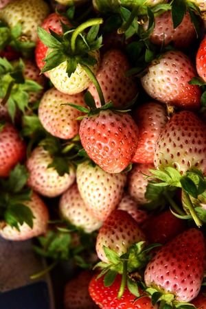 Top view of fresh strawberry backgroundの写真素材