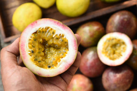 close up of fresh purple passion fruits harvest from farmの写真素材