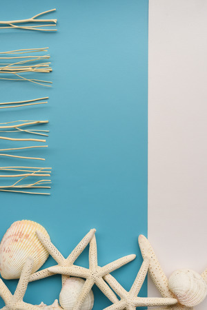 Summer concept. Starfish and seashells on a blue backgroundの写真素材