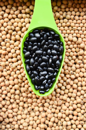 close up of black bean in spoon on soybean for background
