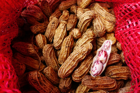 close up of boiled peanut for background
