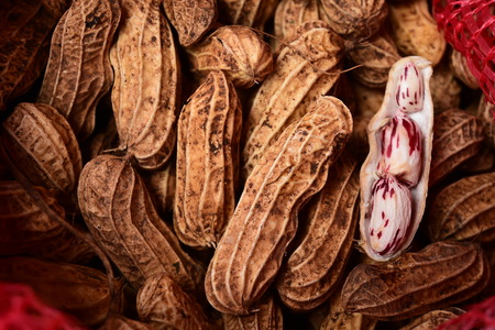 close up of boiled peanut for backgroundの写真素材