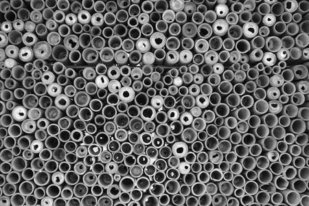 wood texture with natural patterns background take with selective color technique and art lightingの写真素材