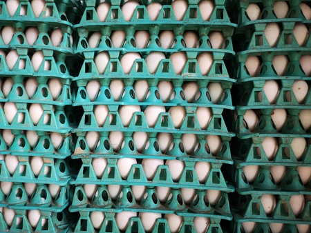 close up of fresh duck eggs in egg trays for sale in Thailand market