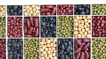 collection of different legumes for backgroundの写真素材