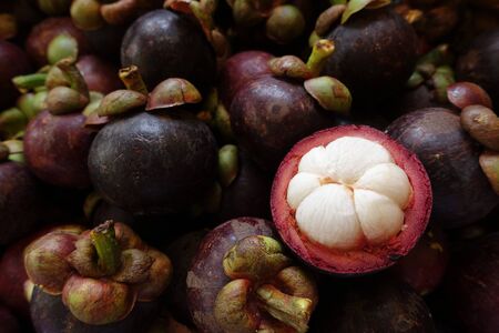 Close up of mangosteen fruits for backgroundの写真素材