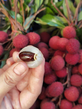 close up of fresh red lychee fruits for backgroundの写真素材