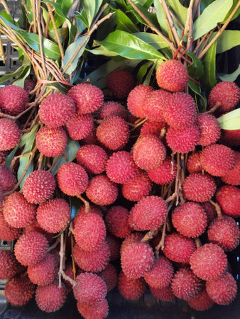 close up of fresh red lychee fruits for backgroundの写真素材