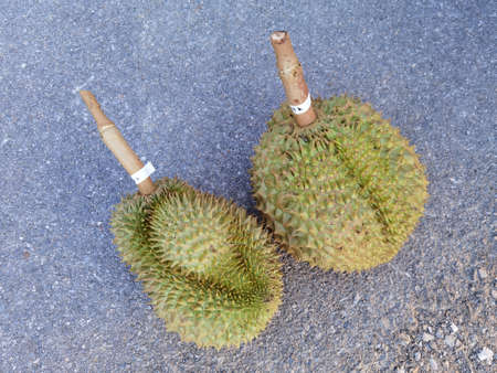 Top view of durian fruit on the floorの写真素材