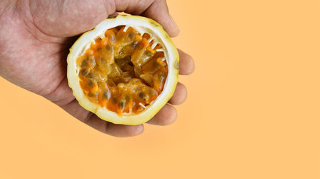 close up of fresh purple passion fruits on hand harvest from farmの写真素材