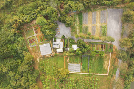 Birds Eye View of the vegetable fields and agricultural Parcel. Aerial views.の写真素材