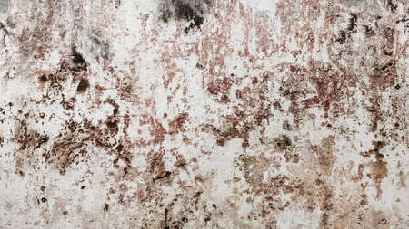 Concrete cement cracked wall texture for backgroundの写真素材