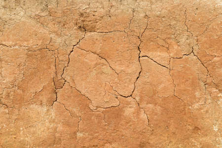 Top view of dried cracked earth soil ground texture backgroundの写真素材