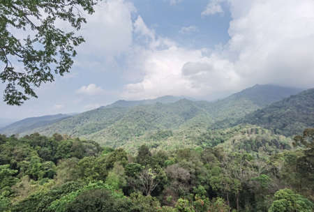 The mountain view with the blue sky at northern Thailandの写真素材