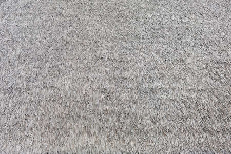 close up of texture of gray carpet background.の写真素材