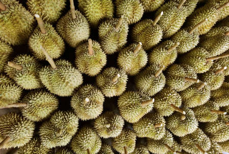 Top view of durian fruit on the floorの写真素材