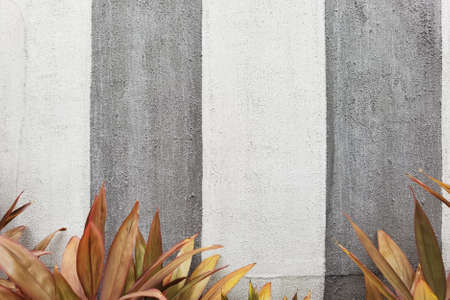close up of leaves on cement wall backgroundの写真素材