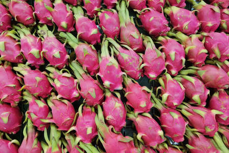 Pile of Dragon fruit in the marketの写真素材