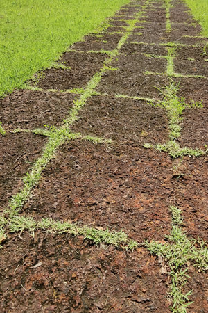 Top view of stone footpath pattern with green grass backgroundの写真素材