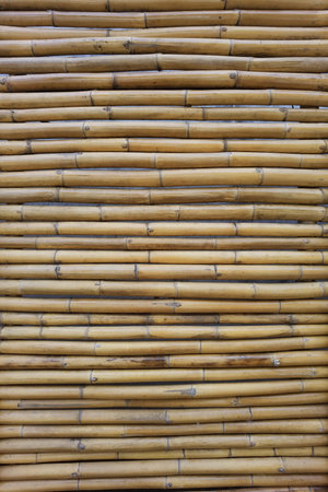 close up of bamboo texture for backgroundの写真素材