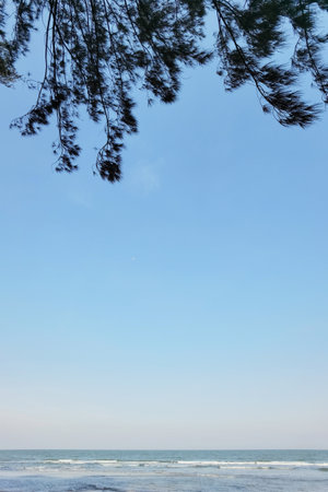 tropical beach and blue sky in natureの写真素材