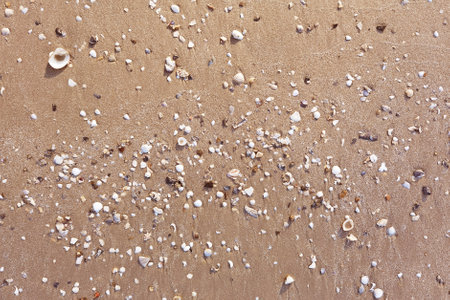 Sand on the beach for backgroundの写真素材