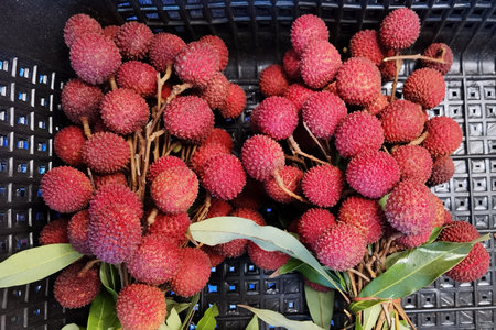 close up of fresh red lychee fruits for backgroundの写真素材