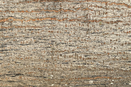close up of wooden texture for backgroundの写真素材